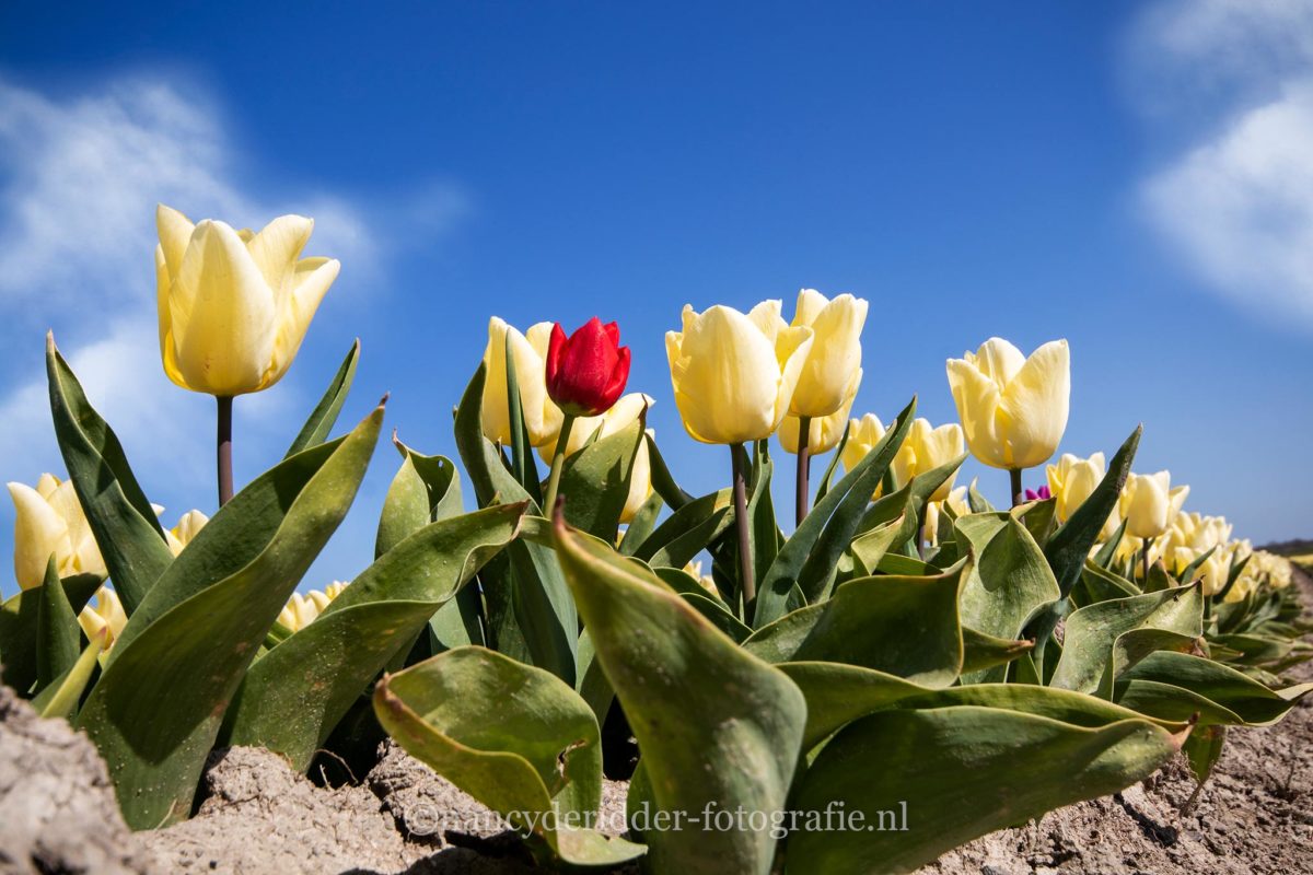 landschappen, natuurfotografie