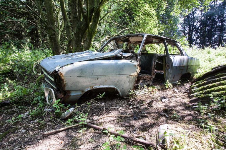Lost in Woods, urbexlocatie, vervallen auto's