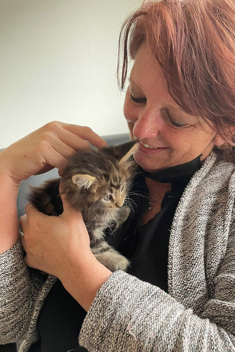 liefde, kitten, main-coon