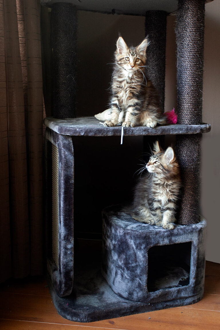 krabpaal, eerste-nacht, indrukken