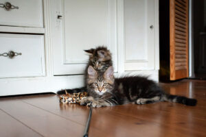 eerste-nacht, spelen, nachtrust