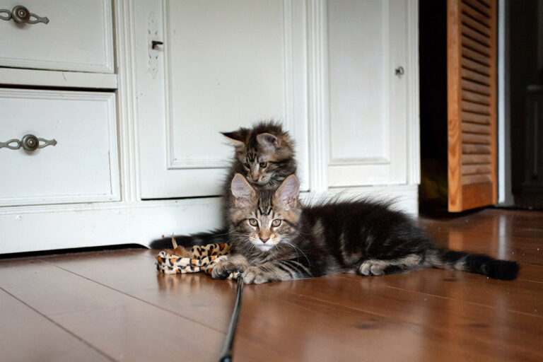 eerste-nacht, spelen, nachtrust