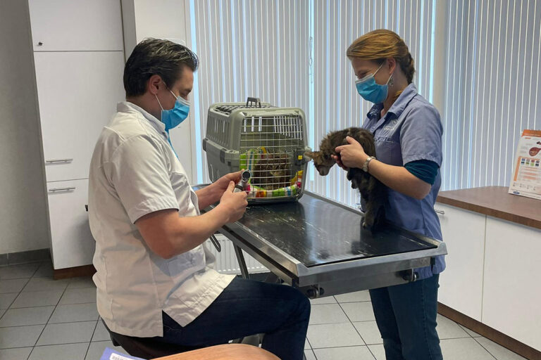 dierenarts, eerste-keer, spannend, check-up