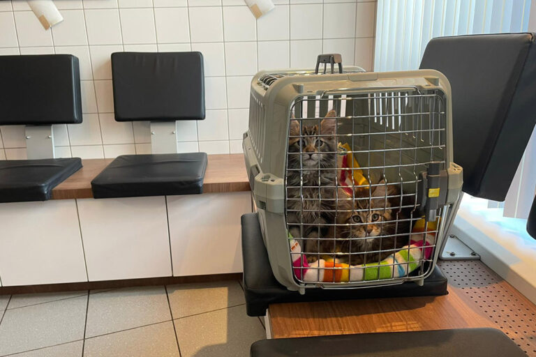 dierenarts, cooper-spencer, spannend