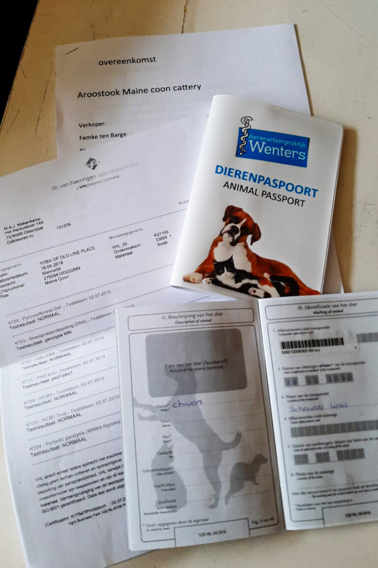 paspoorten, koopovereenkomst, kittens