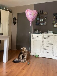 ballon, thuis