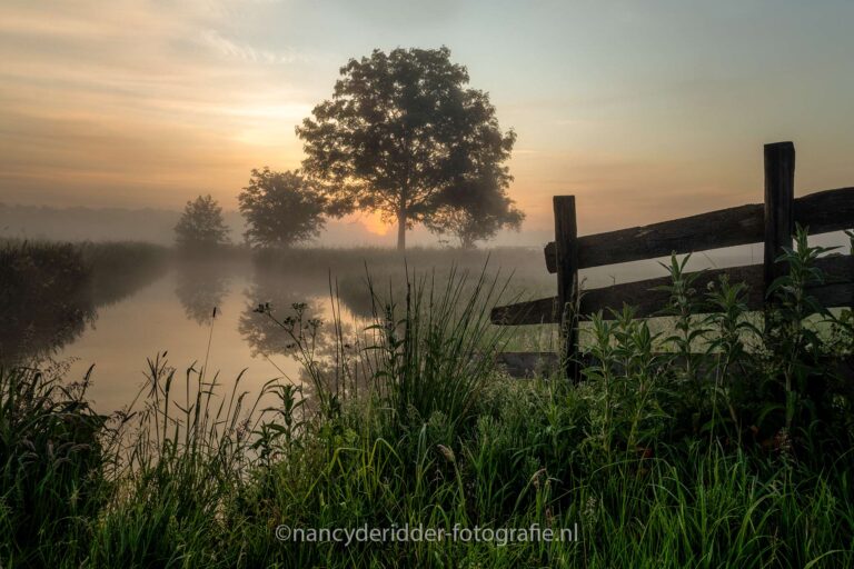 sunrise, gouderak, grondmist, zonsopkomst