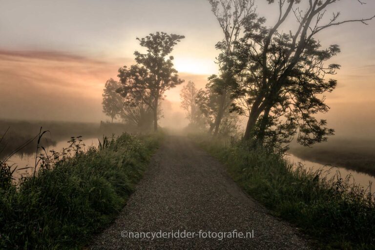 sunrise, gouderak, grondmist, zonsopkomst