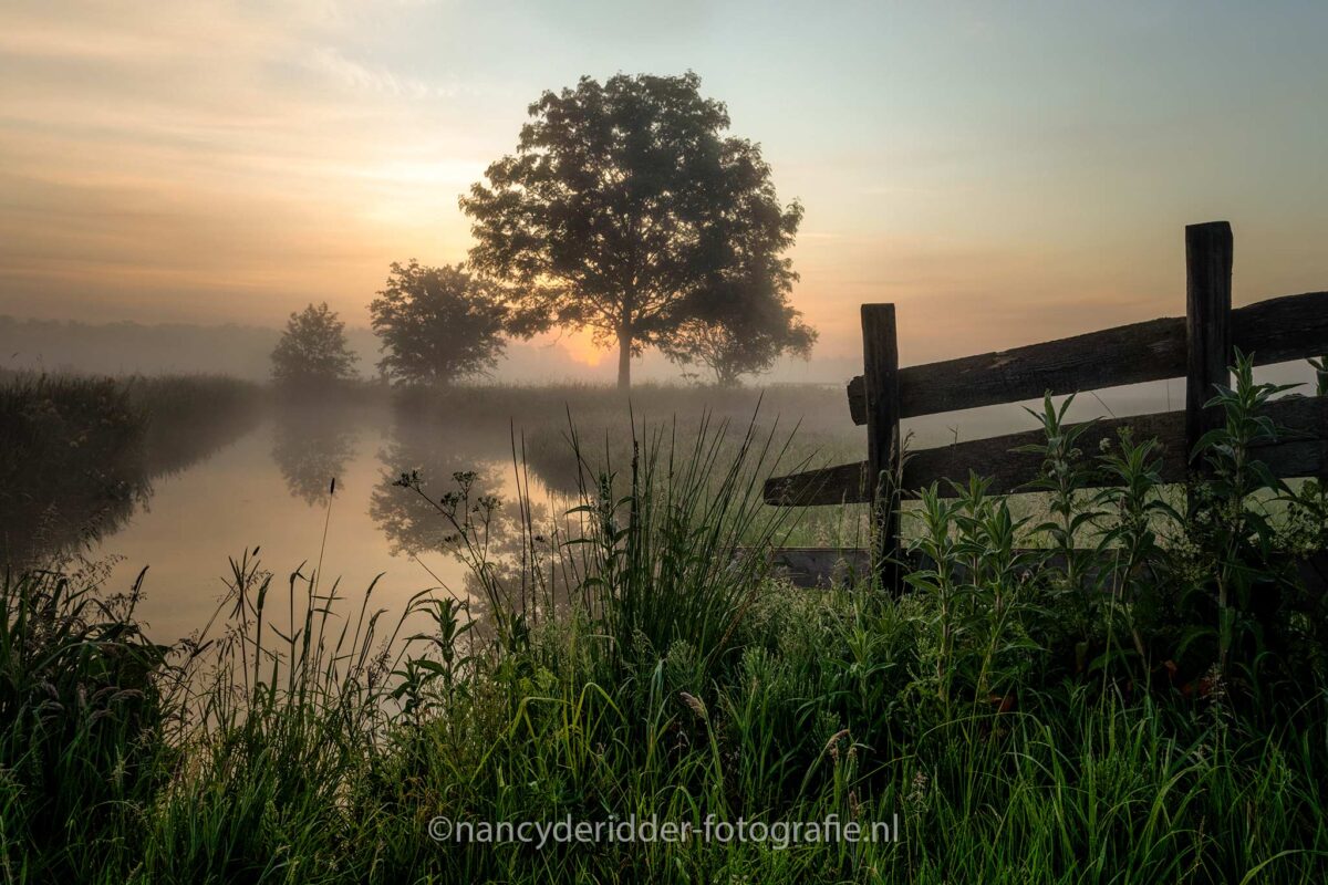 sunrise, gouderak, grondmist, zonsopkomst