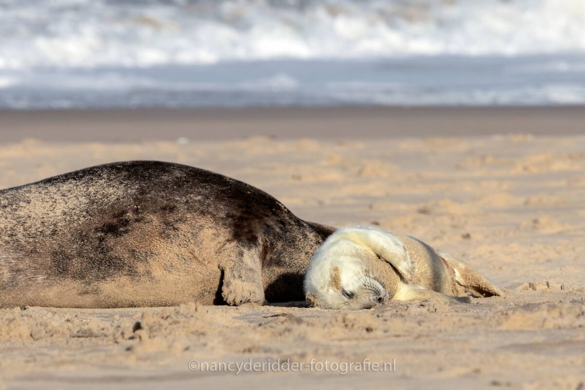 nagenieten, moe, slapen, geborgenheid, moederliefde