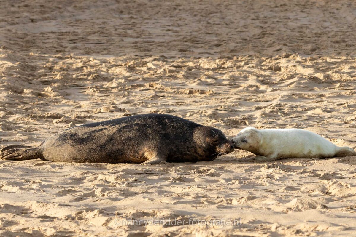 ontmoeting, liefde, moederliefde